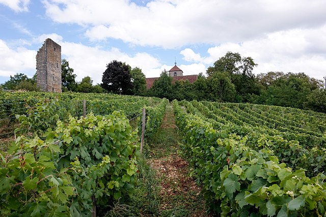 Toulouse-le-Château 39